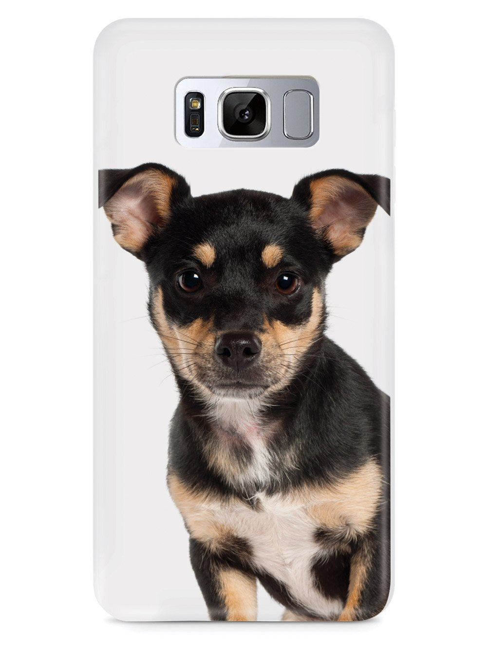 Miniature Pinscher Case