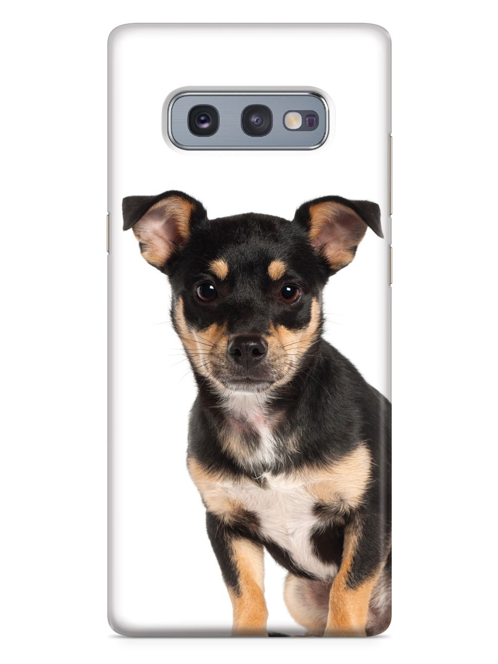 Miniature Pinscher Case