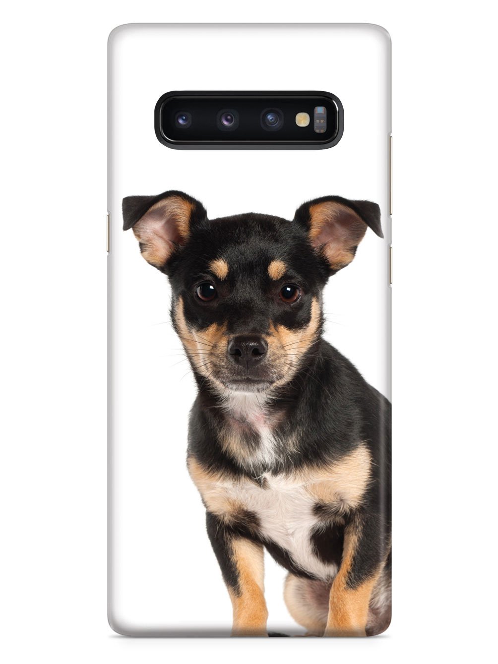 Miniature Pinscher Case
