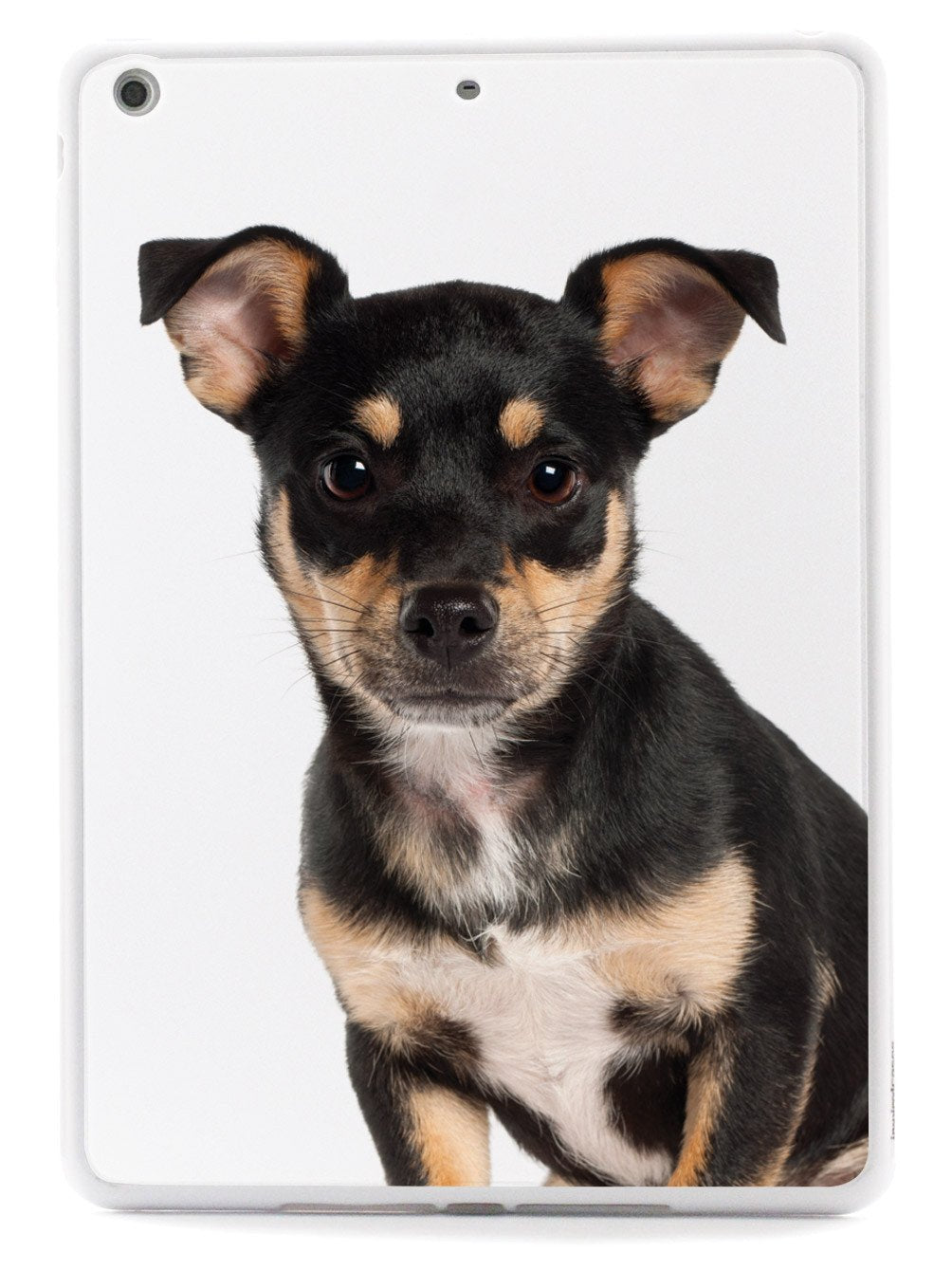 Miniature Pinscher Case