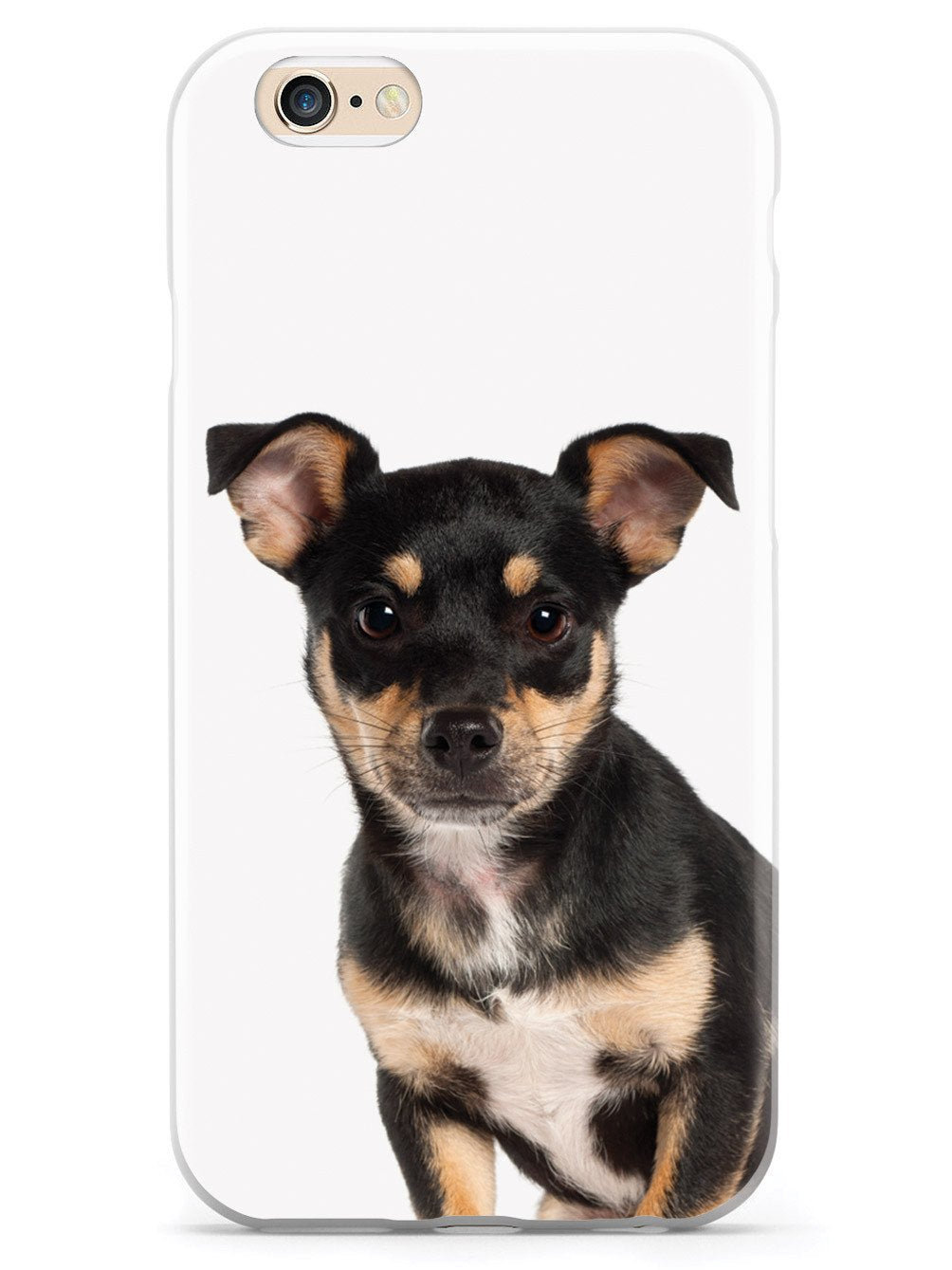 Miniature Pinscher Case
