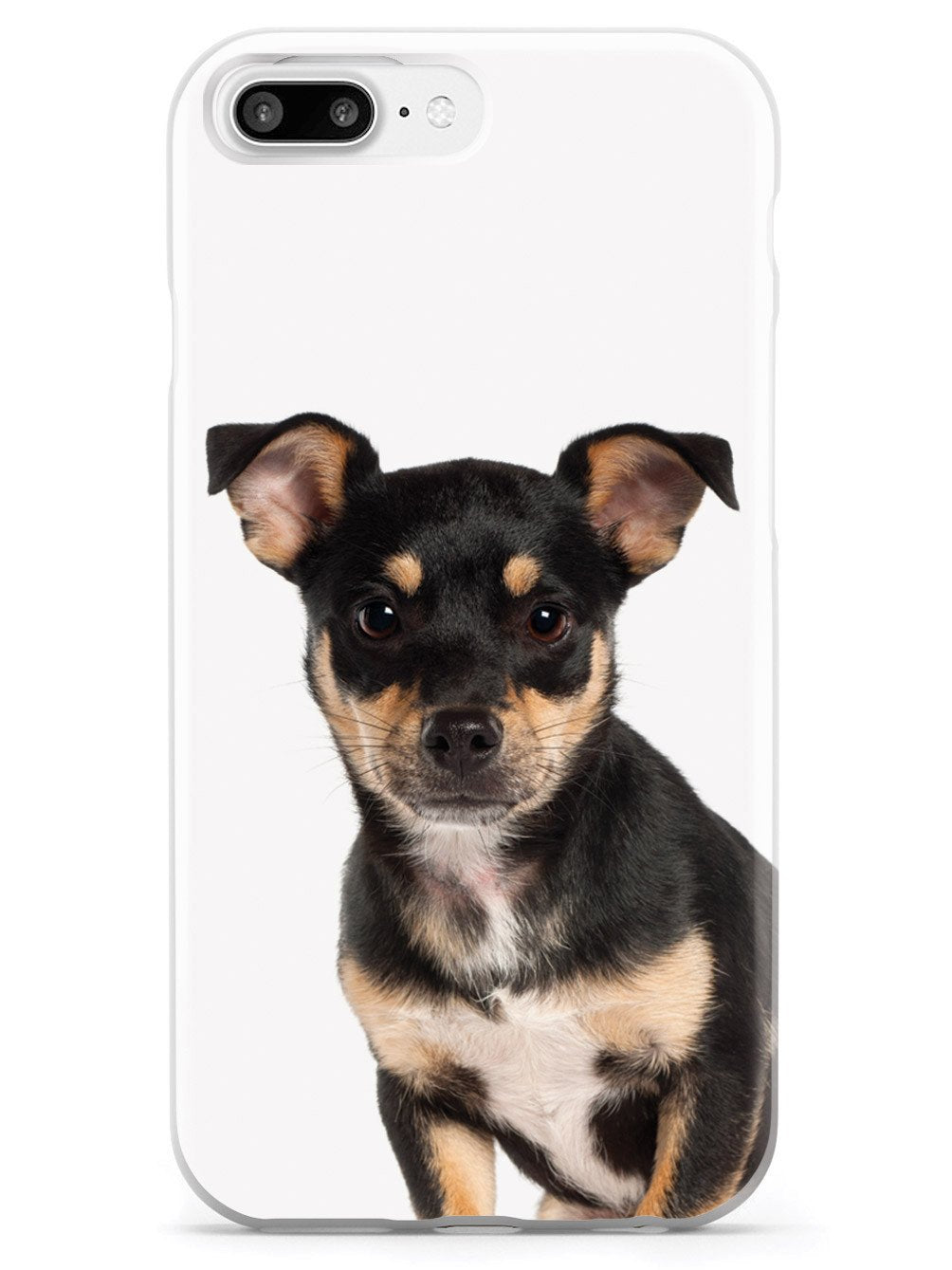 Miniature Pinscher Case