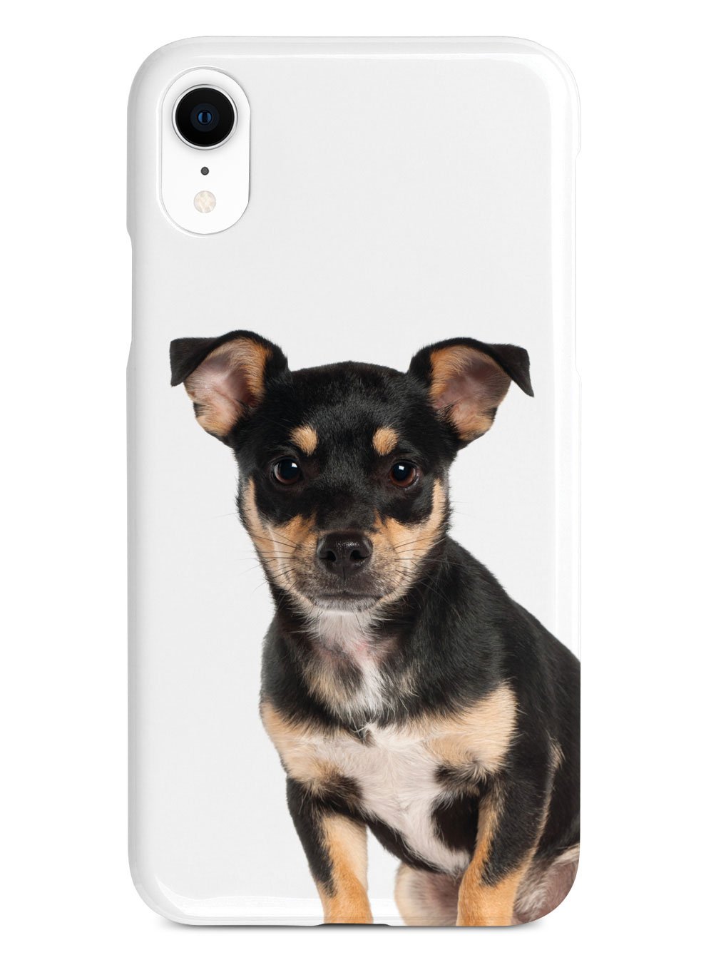 Miniature Pinscher Case