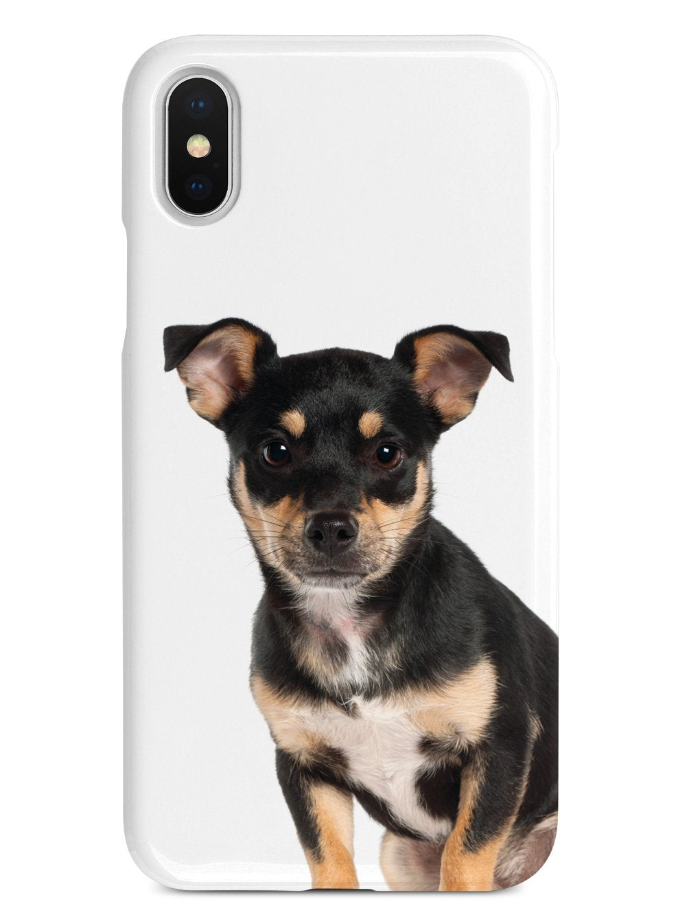 Miniature Pinscher Case