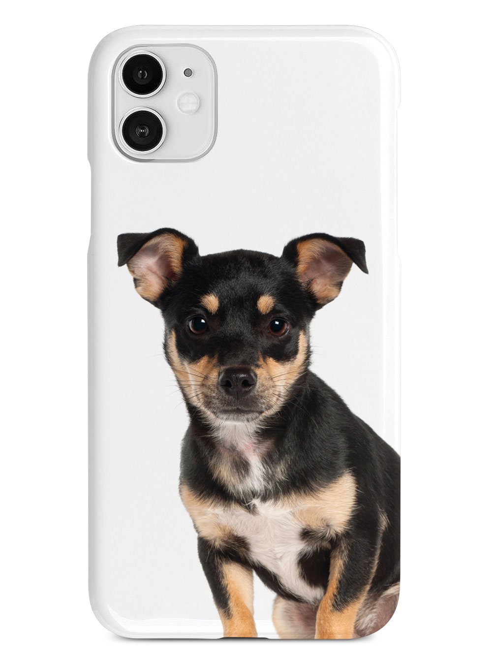 Miniature Pinscher Case