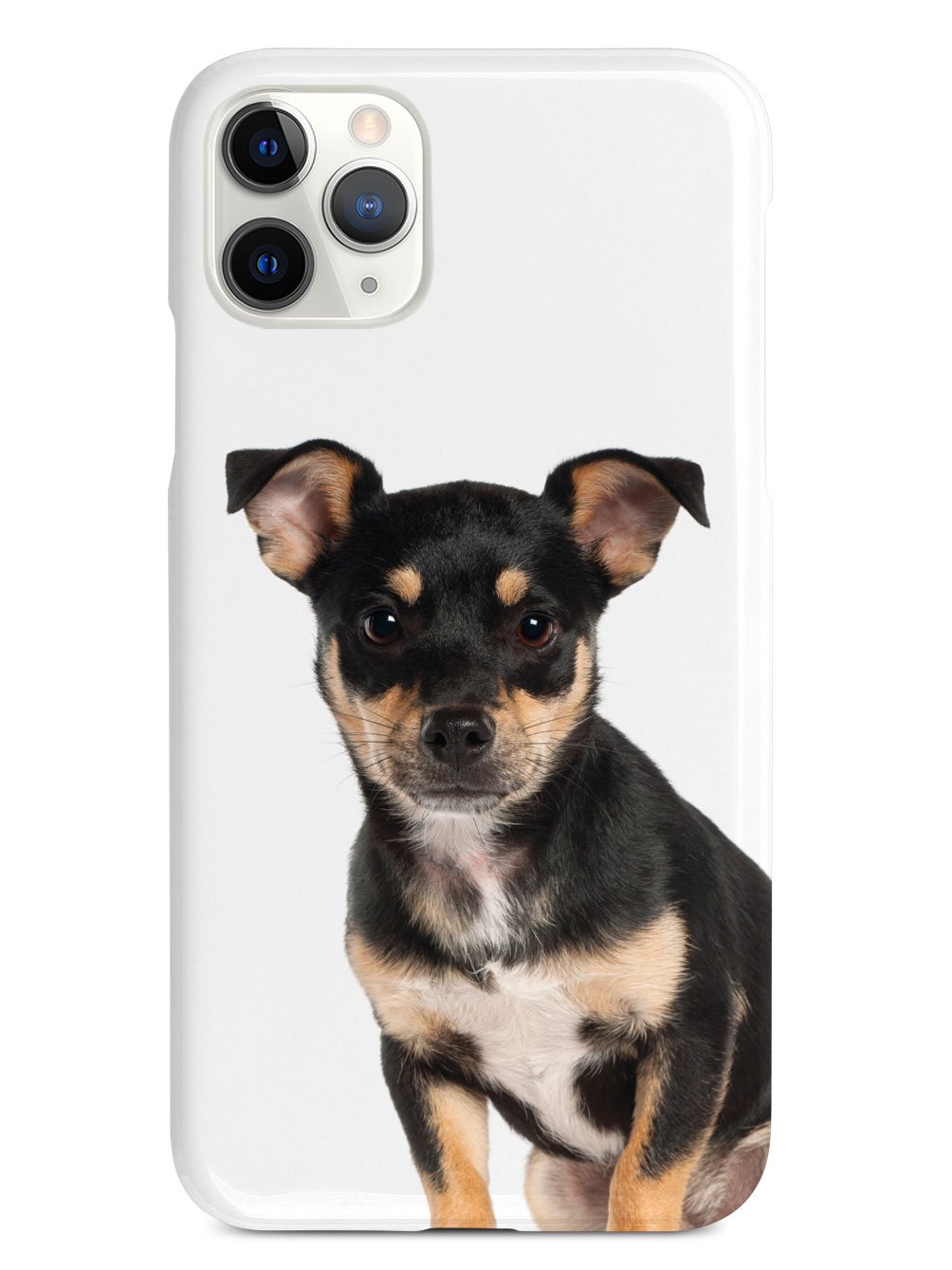 Miniature Pinscher Case