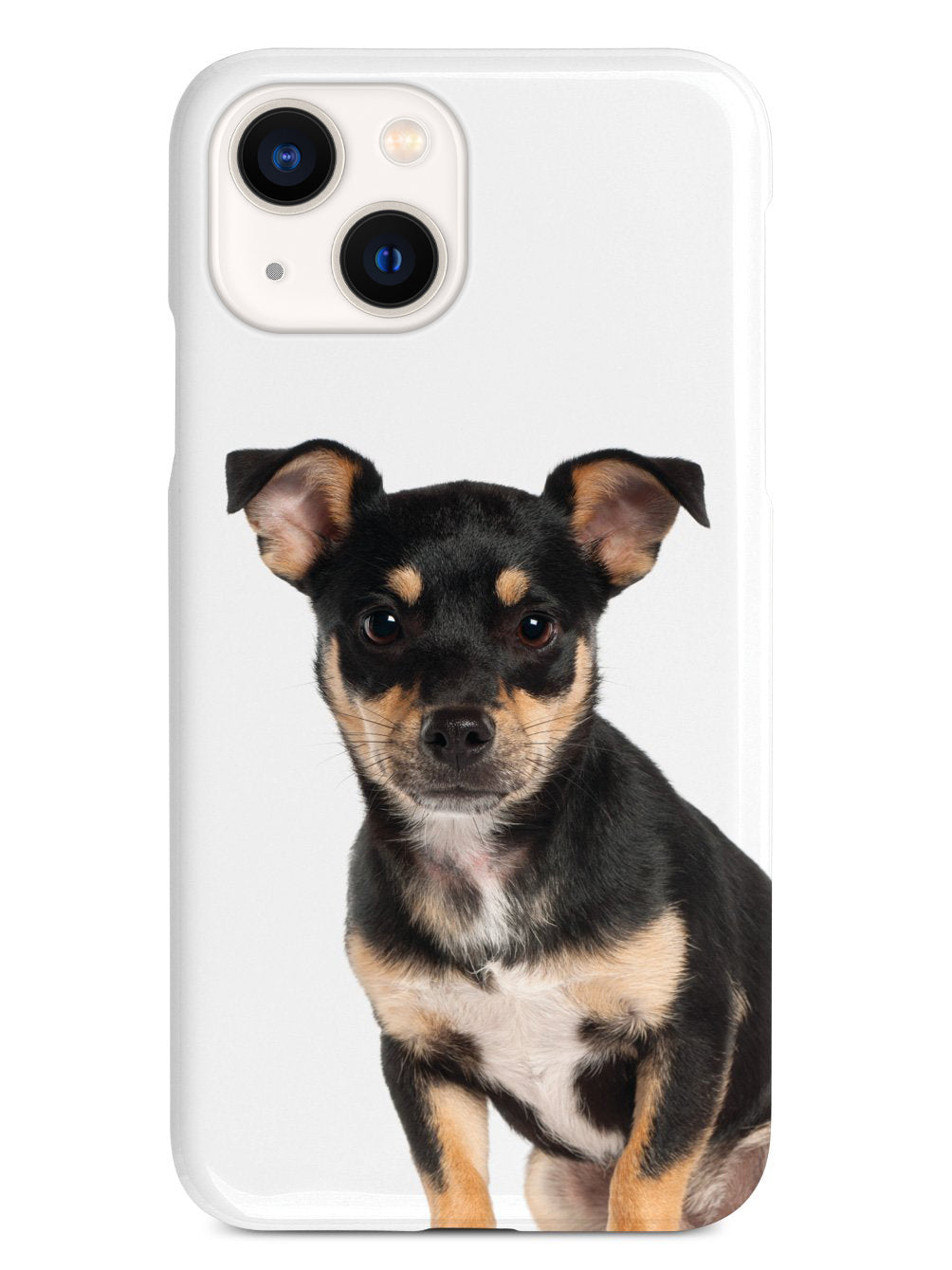 Miniature Pinscher Case