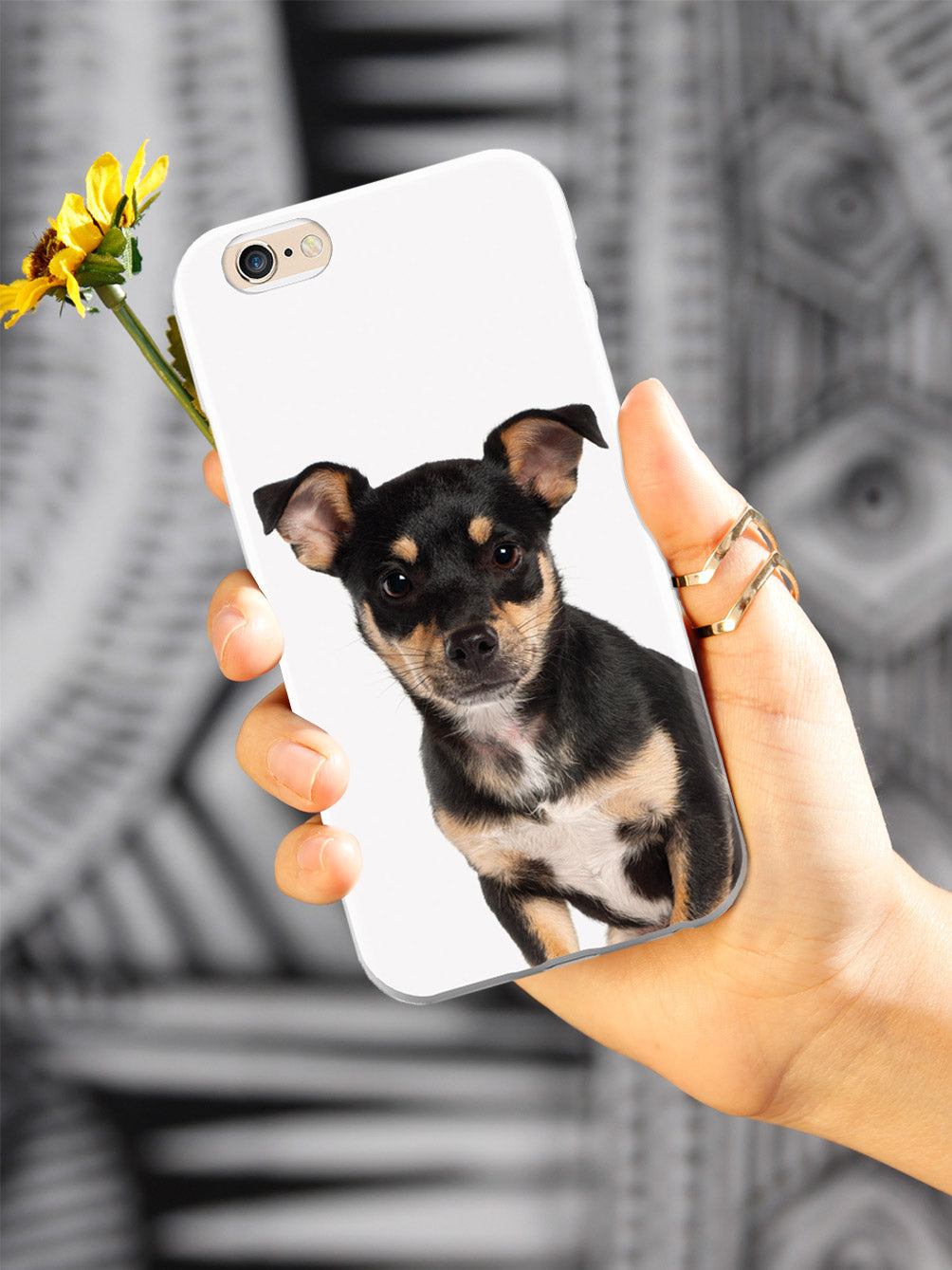 Miniature Pinscher Case