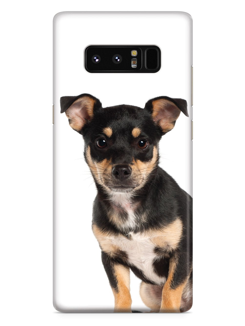 Miniature Pinscher Case