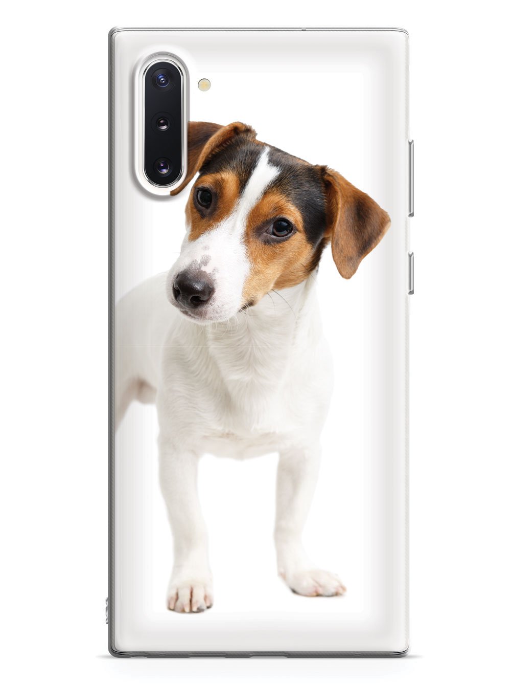 Jack Russell Terrier Puppy Case