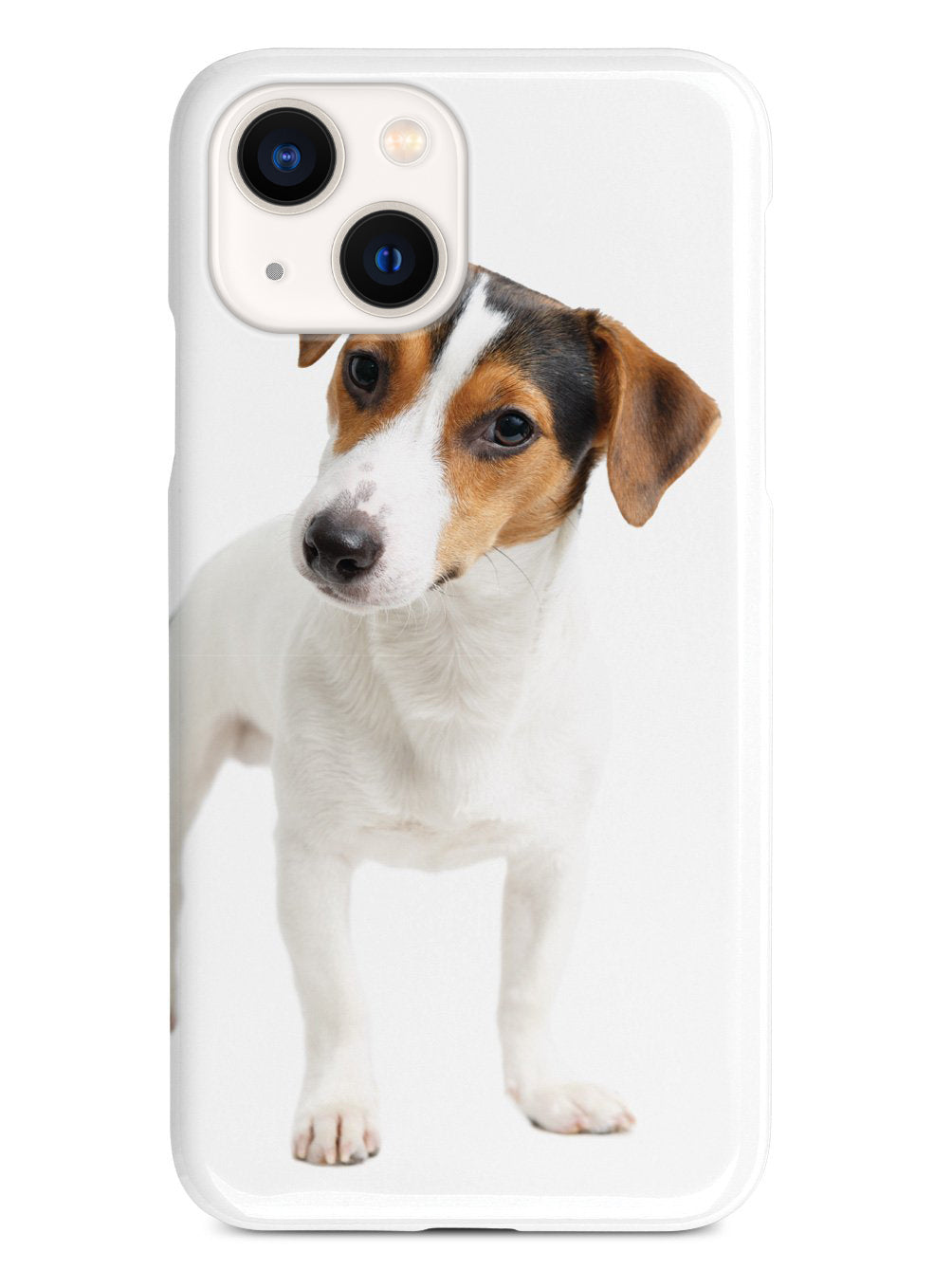 Jack Russell Terrier Puppy Case