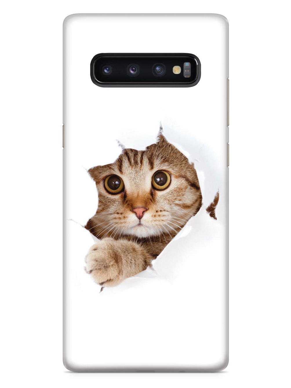 Peek-a-Boo Kitty Case