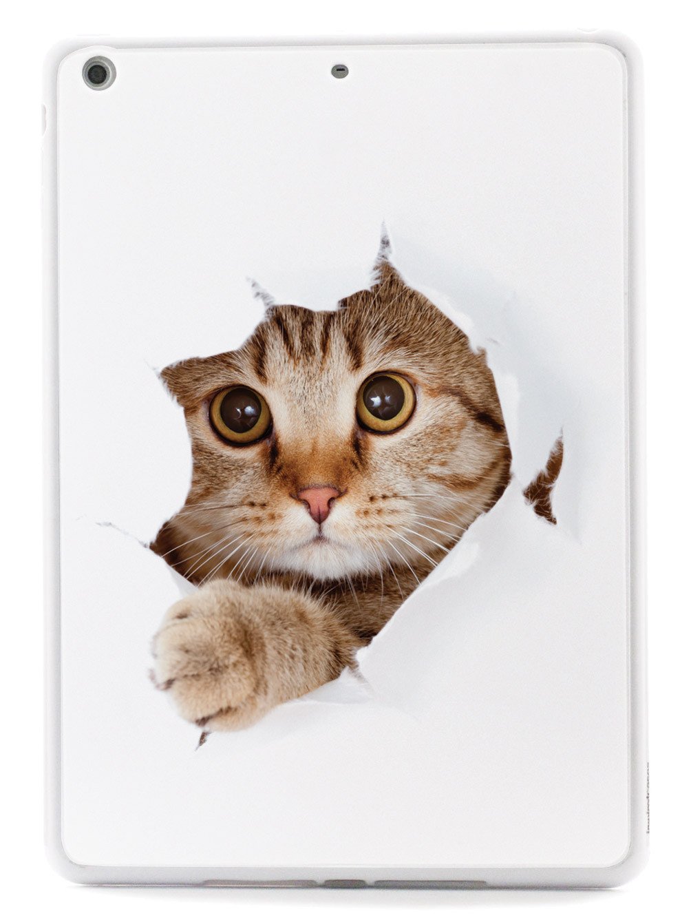 Peek-a-Boo Kitty Case