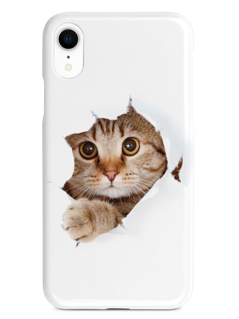 Peek-a-Boo Kitty Case