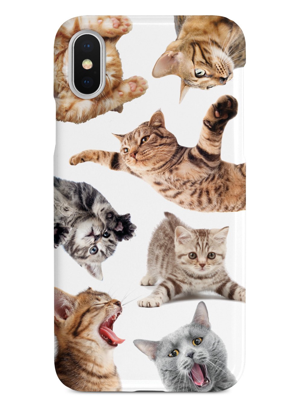 Funny Cats 2 Case
