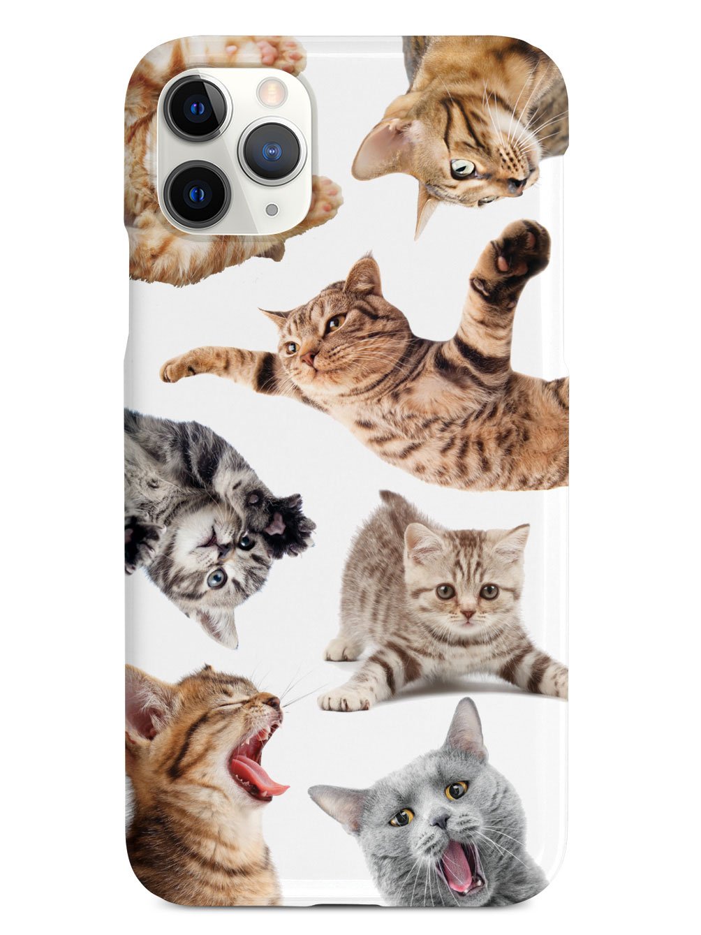 Funny Cats 2 Case