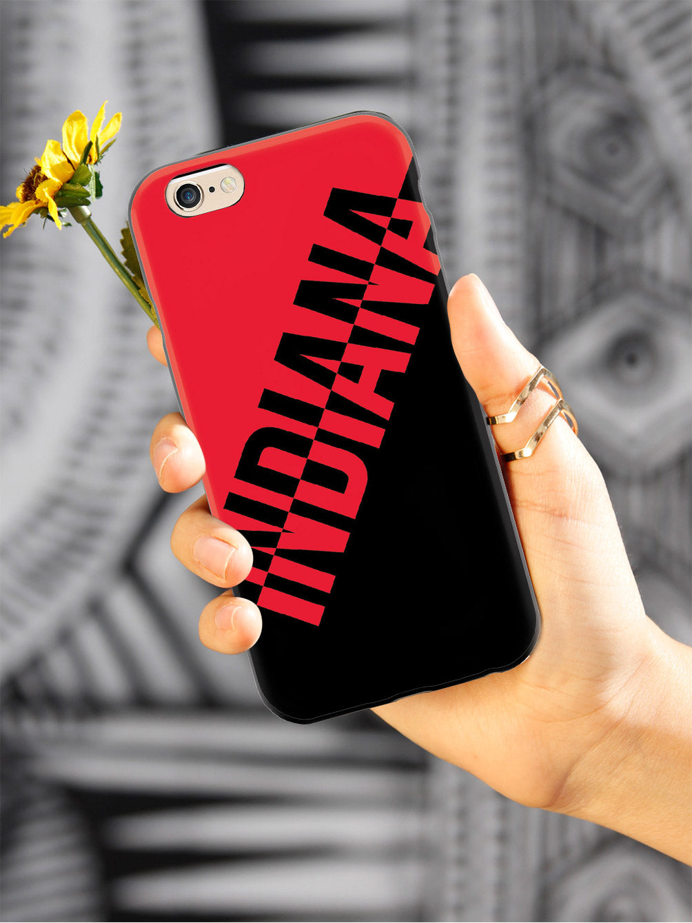 Indiana State Pride Case