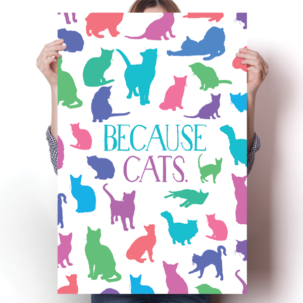 Because Cats Poster