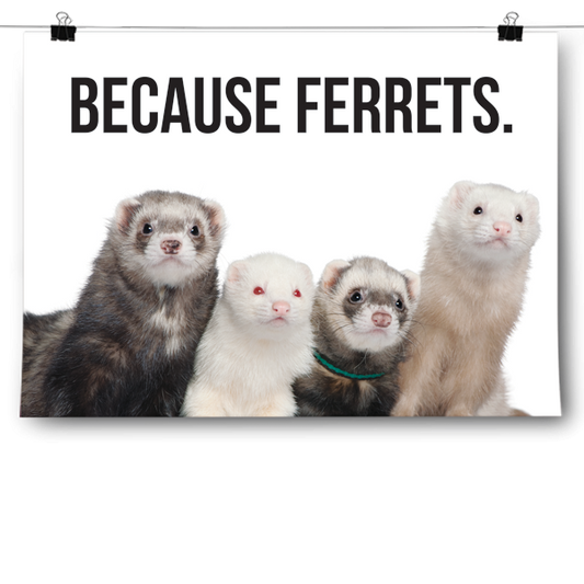 Because Ferrets. Poster
