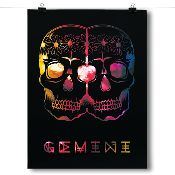 Cosmic Zodiac - Gemini Poster