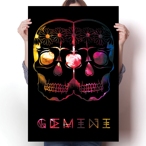 Cosmic Zodiac - Gemini Poster