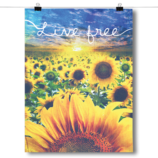 Live Free - Sunflower Field Poster