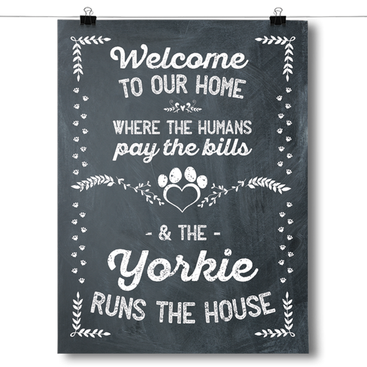 The Yorkie Runs The House Poster