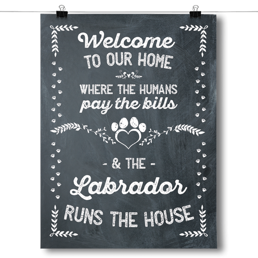 The Labrador Runs The House Poster