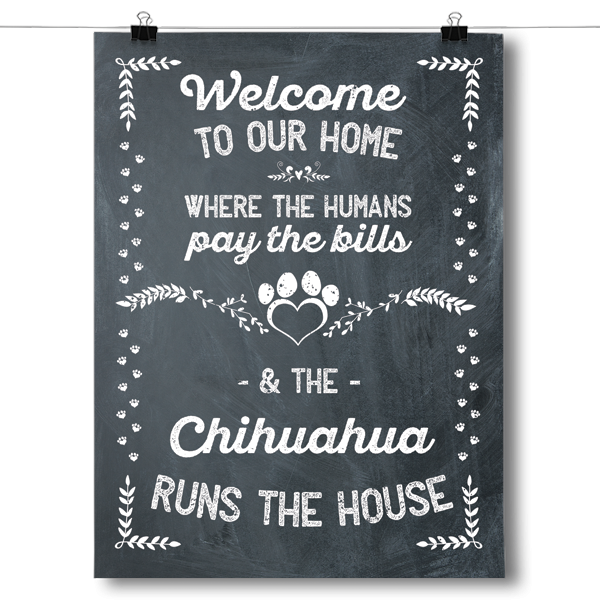 The Chihuahua Runs The House Poster
