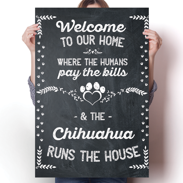 The Chihuahua Runs The House Poster