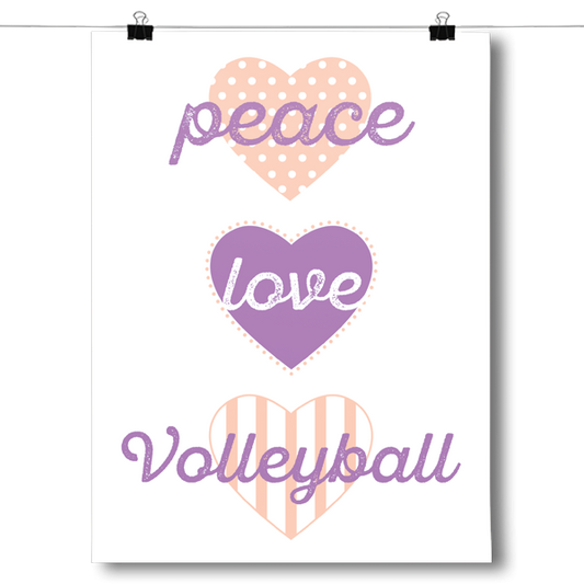 Peace, Love, Volleyball Poster