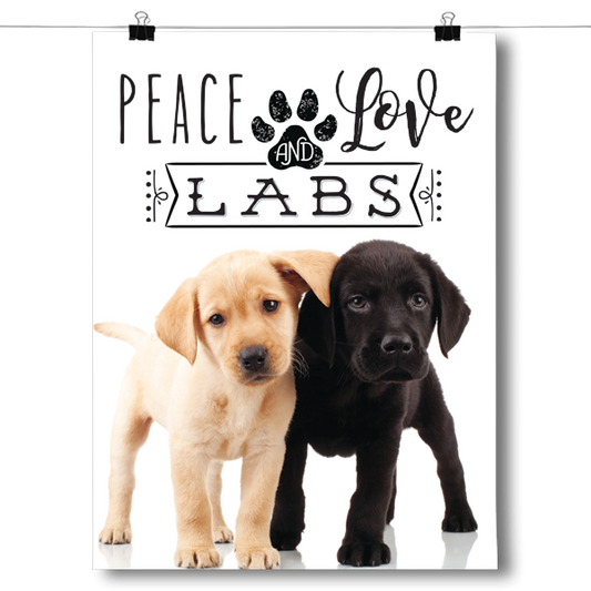 Peace Love and Labs - Real Life Poster