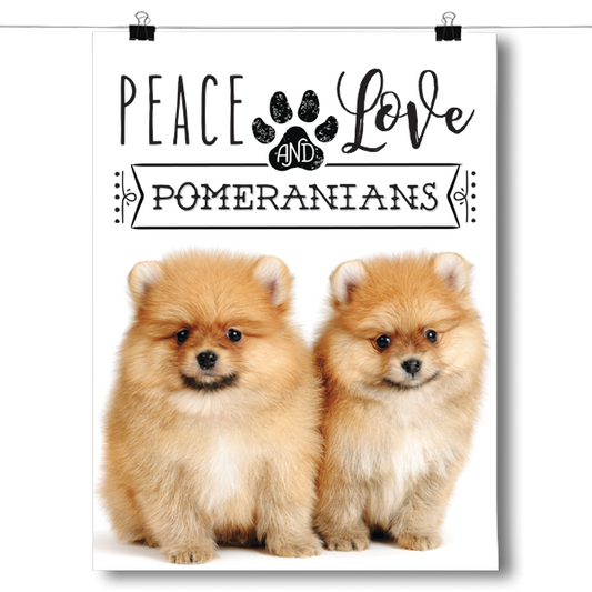 Peace Love and Pomeranians - Real Life Poster