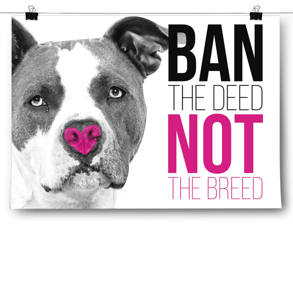 Ban The Deed, Not The Breed - Pitbull Poster