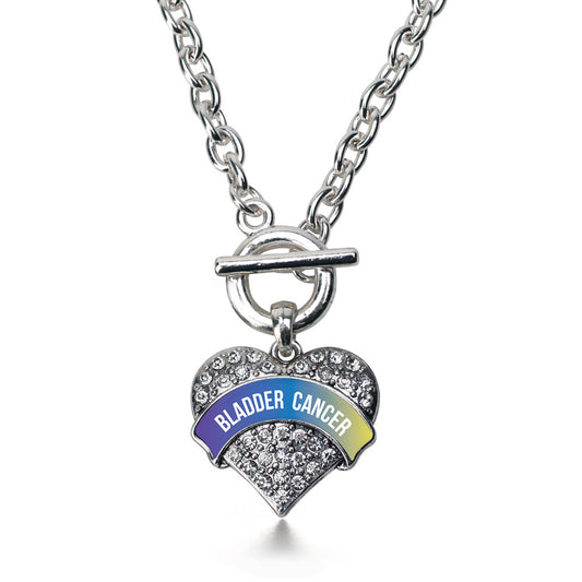 Silver Bladder Cancer Awareness Pave Heart Charm Toggle Necklace