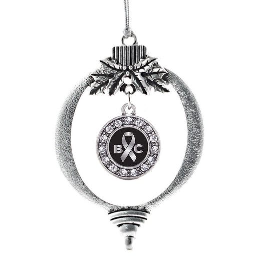 Silver Brain Cancer Awareness and Support Circle Charm Holiday Ornament