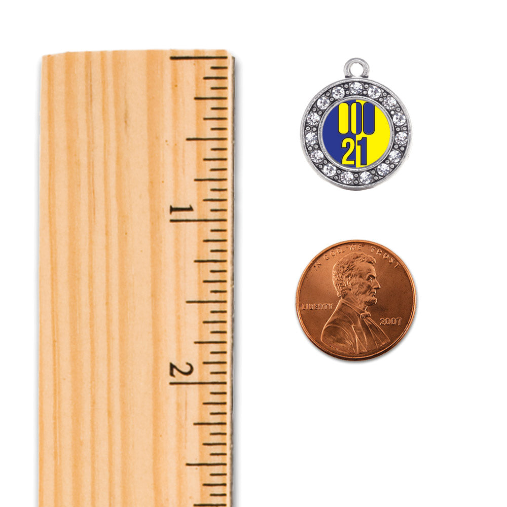 Silver Chromosome 21 Circle Charm Holiday Ornament