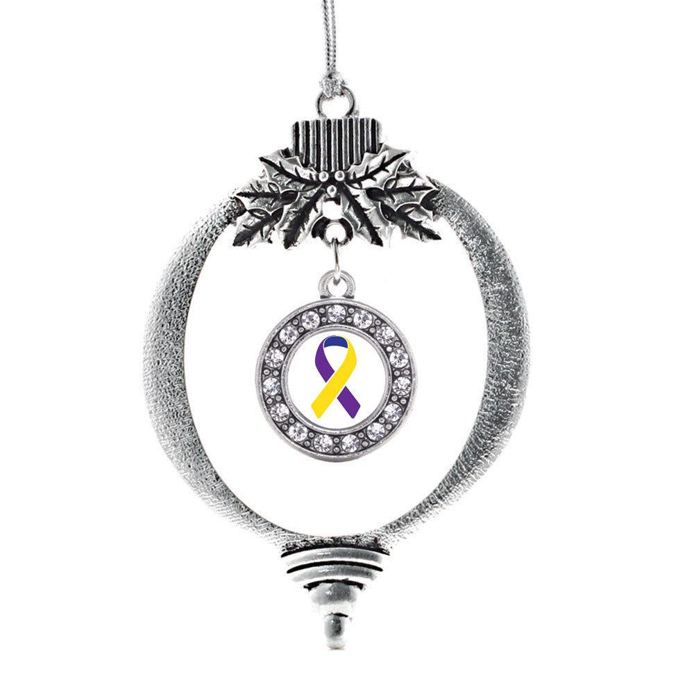 Silver Bladder Cancer Awareness Circle Charm Holiday Ornament